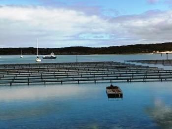 Longbeach Apartments Coffin Bay Esterno foto